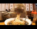 ホモと見る猿系youtuber