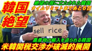 【韓国絶望】米韓関税交渉が破滅的展開に突入、韓国死亡のタイムリミットまであと６日！