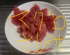 マルタ　マグロ　刺身　トロ　スジ　モツ煮