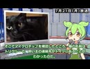 【一週間まとめ】7月21日～7月27日 世界のおもしろB級ニュース【ずんだもん】