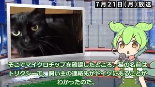 【一週間まとめ】7月21日～7月27日 世界のおもしろB級ニュース【ずんだもん】