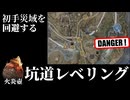 【エルデンリングナイトレイン】鉄の目ソロで通常リブラを安心安定攻略【ゆっくり実況】