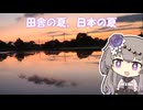 【お散歩】田舎の夏、日本の夏。