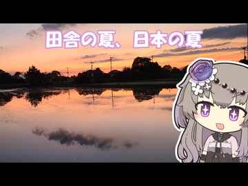 【お散歩】田舎の夏、日本の夏。