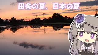 【お散歩】田舎の夏、日本の夏。