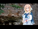 【桜乃そら誕生祭2025】やまねこー中島みゆき