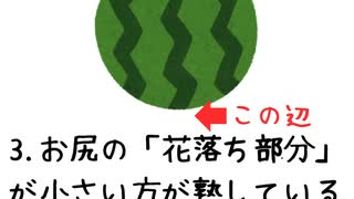 スイカの雑学いろいろ