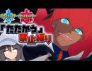 【ポケモン剣盾】たたかう禁止縛り  Part4