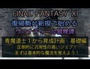 【FF11】青魔道士１から育成計画　基礎編　圧倒的に汎用性の高いジョブ！ますは基本的な魔法を覚えよう！