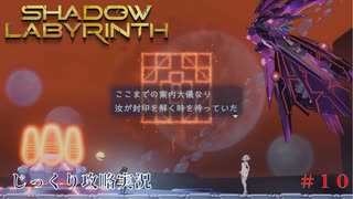 【SHADOW LABYRINTH】第10回　ガンプ攻略の糸口を探せ　じっくり攻略実況　シャドウラビリンス