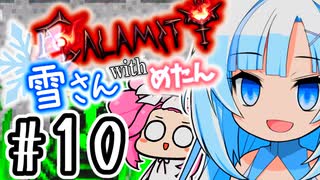 【Calamity雪さん #10】ゼニスシード・投擲縛り【Terraria】