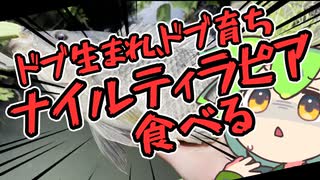 【お腹がすいたら】ナイルティラピアでタイ給食【釣ればいい】