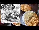 「四川風麻婆＆麻婆チャーハン（3537kcal）」を業務スーパーの食材使って作って喰うのだ！ #ドカ食いダイスキ！もちづきさん【ジェットカット版】