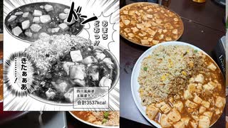 「四川風麻婆＆麻婆チャーハン（3537kcal）」を業務スーパーの食材使って作って喰うのだ！ #ドカ食いダイスキ！もちづきさん【ジェットカット版】