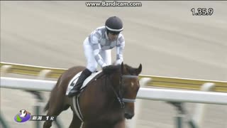 ディアダイヤモンド　2歳未勝利牝