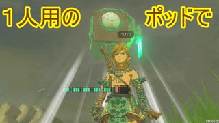 【ティアキン】依頼を受けて、パラガスを１人用のポッドで空に飛ばした【ドリカラ】【ボイスピ実況,ゼルダの伝説,ティアーズオブザキングダム,TotK,バグ,検証 】