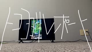 トコヨヨリレポート/ナースロボ＿タイプＴ