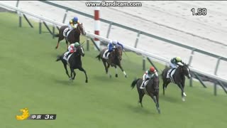 ロックターミガン　2歳新馬