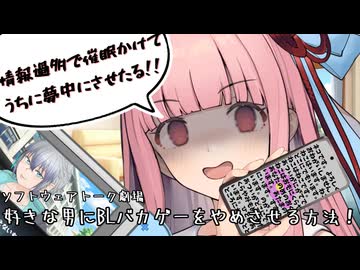 【ヤンデレ？】BLバカゲーをする男にやめさせる方法！【催眠？】【琴葉茜】【ソフトウェアトーク劇場】