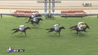 フィロステファニ　2歳新馬