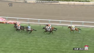 サンセットゴールド　2歳新馬