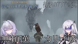 【ナイトレイン】夜渡りのアリアルさん　８話【アリアル実況】