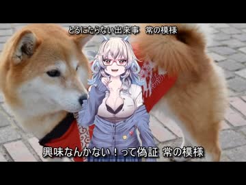 今宵フェスティバブる