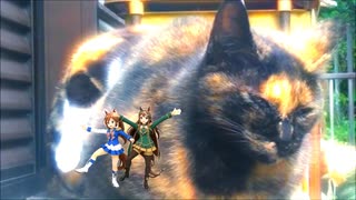 猫の親子と馬の親子？
