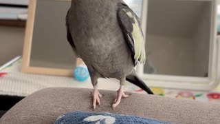 僕はなぎちゃん？なぎくん？□