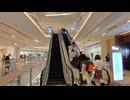 2014 OTIS LINK エスカレーター 福州世歐廣場