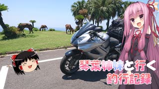 琴葉姉妹と行く釣行記録（車載編part36 33）