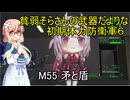 貧弱そらさんの初期体力地球防衛軍6　38
