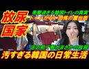 【放尿国家】汚すぎる韓国の日常生活、トイレがない恐怖の屋台街！