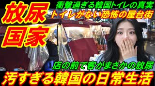【放尿国家】汚すぎる韓国の日常生活、トイレがない恐怖の屋台街！