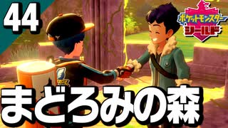 §【初見ポケモン剣盾#44(終)】叶えたい夢はいつも目の前に『ポケットモンスターシールド』【実況】