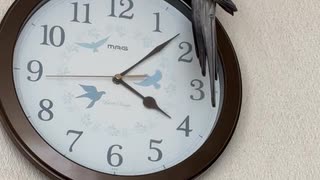 なぜそこに止まるん？