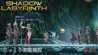 【SHADOW LABYRINTH】第11回　ナンドノット・ギレネスを倒せ　じっくり攻略実況　シャドウラビリンス