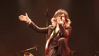 the GazettE - 歪【［DIVISION］FINAL MELT LIVE AT 03.10 SAITAMA SUPER ARENA】