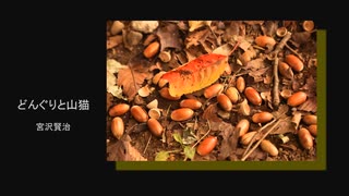 『どんぐりと山猫』を読んでみた