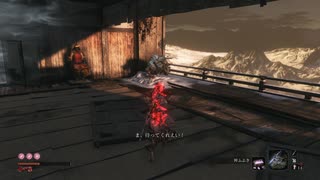 大忍び 梟ノーダメージ　SEKIRO/隻狼/苦難厄憑