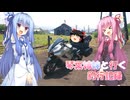 琴葉姉妹と行く釣行記録（車載編part36 34）