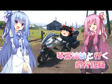 琴葉姉妹と行く釣行記録（車載編part36 34）