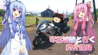琴葉姉妹と行く釣行記録（車載編part36 34）