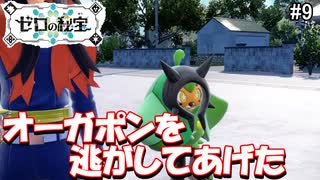 かわいさで圧倒するゼロの秘宝#9