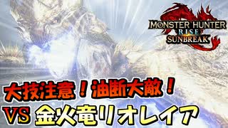 大技注意！油断大敵！VS 金火竜 リオレイア希少種【MHRiseSunBreak/モンハンライズサンブレイク】