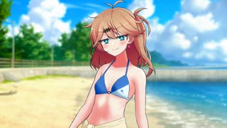 暑い日の海【ソフトウェアトーク劇場】