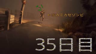 パワーの主とサバイバーの友人によるハラン旅行３５日目　[ダイイングライト]　難易度：悪夢＆スキル縛り