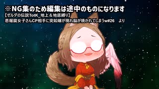 執政官ちゃん動画のNGシーン供養集