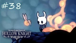 ムダにビビりながらゆく『ホロウナイト』part38