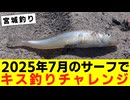 【釣り】2025年7月のサーフでキス釣りチャレンジ【VOICEROIDフィッシング】